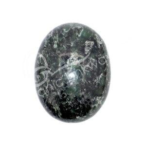 Polished Actinolite with Dolomite Palm Stone
