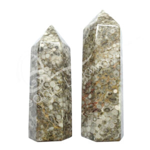 Polished White Leopard Skin Jasper Six Sides Obelisk