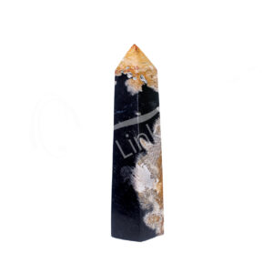 Polished Palm Root Fossil Obelisk 6 Sides
