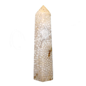 Polished Fossil Coral Obelisk 6 Sides