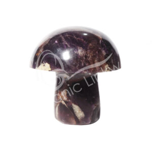 Chevron Amethyst Mushroom Massager