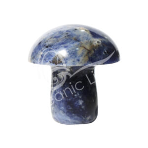Sodalite Massager Mushroom