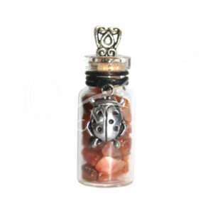 Carnelian Chips Stones in a bottle Necklace with a Ladybug Charm