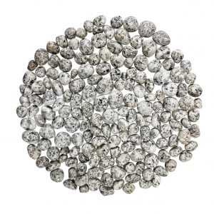 Dalmatian Jasper Tumbled Stones