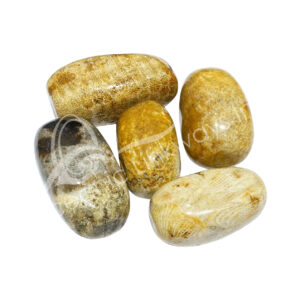 Fossil Agate Pebbles 35-55 mm