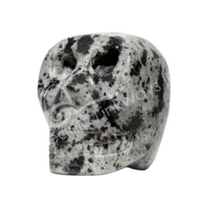 (CLOSE OUT) SKULL - JASPER, DALMATIAN 3 X 2"