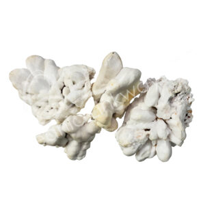 (CLOSE OUT) SPECIMEN - CALCITE, WHITE 2-4"