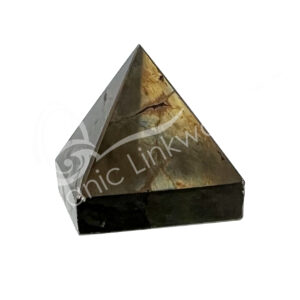 Polished Smooth Pyrite with Black Magnetite Pyramid