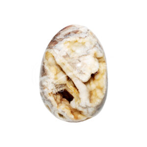 Dendritic Agate with Druse Egg