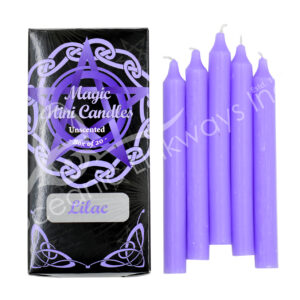 Lilac Unscented Mini Candles 4.75-5"H X 0.5" Diameter Pack of 20