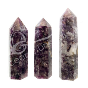 Polished Lepidolite with Tourmaline Obelisk