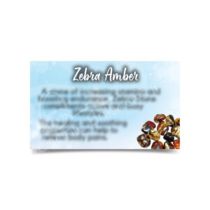 (CLOSE OUT) MARKETING CARD - AMBER, ZEBRA (PK 50) 2X3"