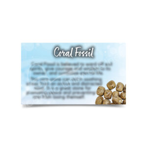 (CLOSE OUT) MARKETING CARD - FOSSIL CORAL (PK 50) 2 X 3"