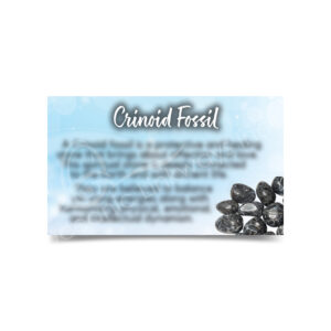 (CLOSE OUT) MARKETING CARD - FOSSIL, CRINOIDS (PK 50) 2X3"