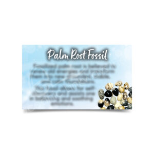 (CLOSE OUT) MARKETING CARD - FOSSIL, PALM ROOT (PK 50) 2X3"