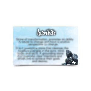 (CLOSE OUT) MARKETING CARD - LARVIKITE (PK 50) 2X3"