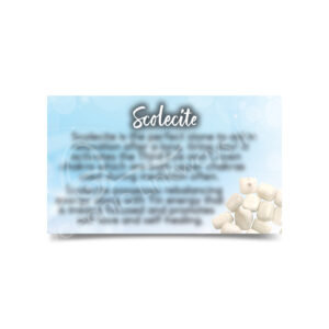 (CLOSE OUT) MARKETING CARD - SCOLECITE (PK 50) 2X3"