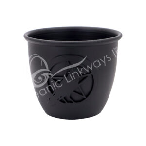 Cast Iron Raven & Pentacle Smudge Pot