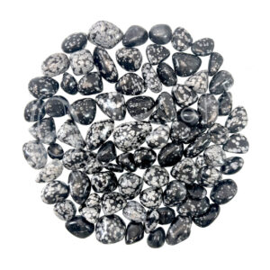 Polished Snowflake Obsidian Pebbles