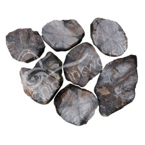 Rough Chiastolite Slice