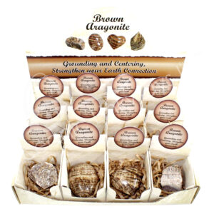 Brown Aragonite Pop-Up Display Set of 12