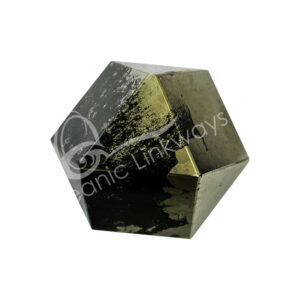 Polished Pyrite with Black Magnetite Polygon