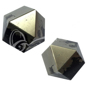 Polished Pyrite with Black Magnetite Polygon