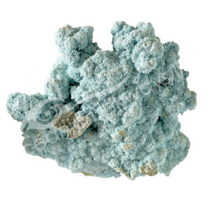 SPECIMEN - CHALCANTHITE (LOT PRICE) 1.5-7"