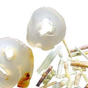 Agate, Bamboo Leaf