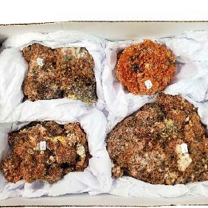 Creedite