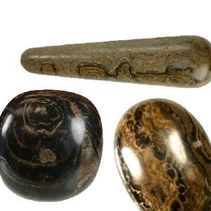 Stromatolite