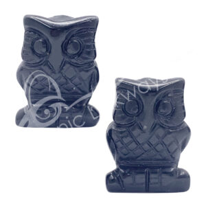 Black Obsidian with Moon Carving