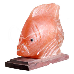 (CLOSE OUT) SALT LAMP - FISH NO CORD 9 X 6 X 3”