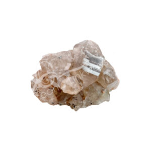 CLUSTER - RUTILATED QUARTZ ALLIGATOR 3-9''