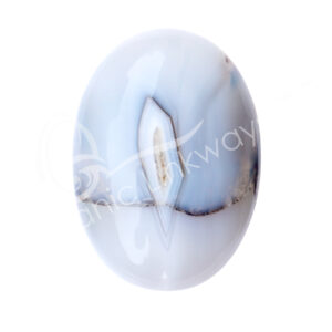 Polished Dendritic Agate Palm Stone