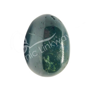 (CLOSE OUT) EGG - BLOODSTONE 2-3"