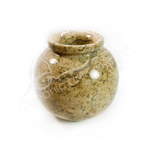 (CLOSE OUT) VASE - FOSSIL CORAL 5"DIA