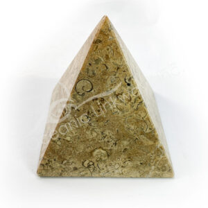 (CLOSE OUT) PYRAMID - FOSSIL CORAL (POINT IS DAMAGED) 6-7"