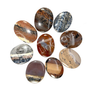 Dendritic Agate Worry Stones