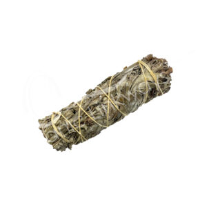 White Sage and Damar Smudge Stick