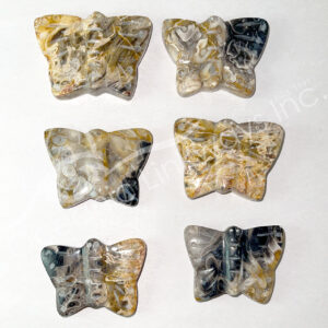 (CLOSE OUT) CARVING - BUTTERFLY FOSSIL, PALM ROOT 1.5-2"L