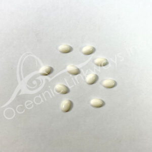 (CLOSE OUT) CABOCHON - JADE, WHITE (PK 10) 7 MM L