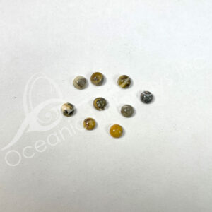 (CLOSE OUT) CABOCHON - AGATE, DENDRITIC (PK 3) 6 MM DIA