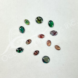 (CLOSE OUT) CABOCHON - ABALONE SHELL (PK 3) 5-8 MM L