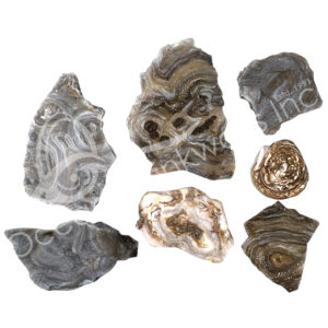 Natural Agate A with Druse Specimen
