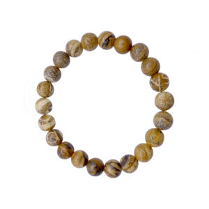 BRACELET - JASPER, PICTURE (8-8.5 MM) 7.15-7.25"