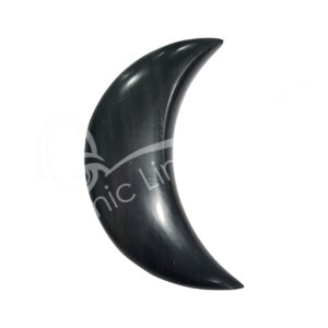 Polished Black Onyx with Pyrite Moon