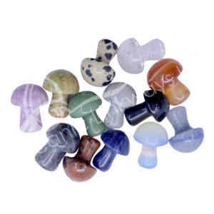 Mixed Stones Mushroom Massager (Set of 12)