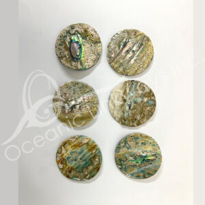 (CLOSE OUT) BUTTONS - ABALONE SHELL 2"DIA