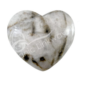 Dendritic Agate with Druse Heart